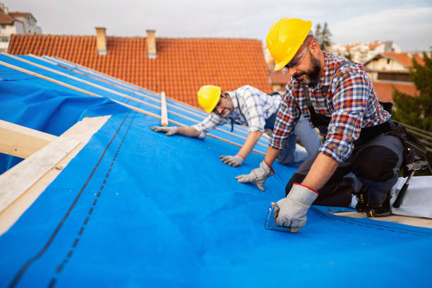 Best Metal Roofing Contractor  in East Palatka, FL