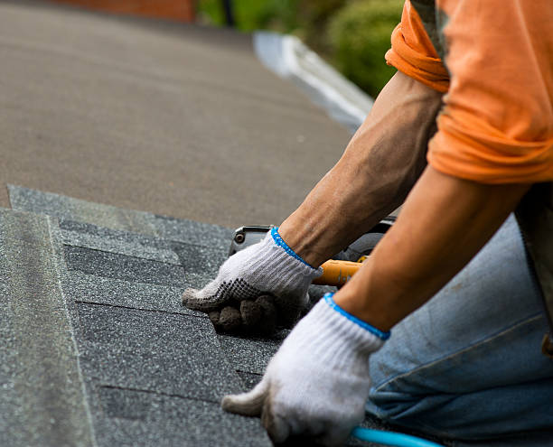 Best Roof Gutter Cleaning  in East Palatka, FL